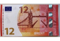 Euro Special Note